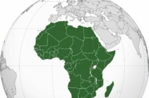 Article : COP27 : l’Afrique en quête d’une voix commune